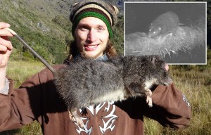 Massive 'giant woolly RAT' found as creature is dubbed 'largest in the world'