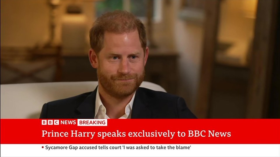Prince Harry in an interview with BBC News.
