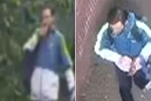 An image collage containing 2 images, Image 1 shows Blurry photo of a person walking outdoors, Image 2 shows Surveillance image of a person on a Metro train