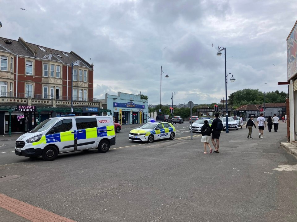 Police cars and van at a scene.