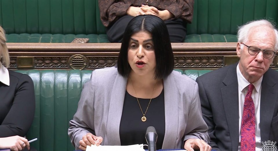 Shabana Mahmood speaking in the House of Commons.