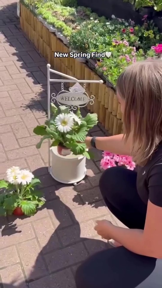 Person placing a potted plant with a "Welcome" sign in front of a garden.